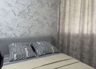 Сдача в аренду квартиры студии, 27 м2, Бийск, Советская улица