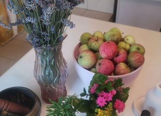 Комната в аренду, 18 м2, Сочи, СНТ Чаевод, 12/1