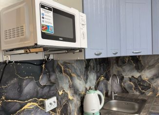 Сдам в аренду квартиру студию, 24 м2, Нижний Новгород, улица 8 Марта, 26