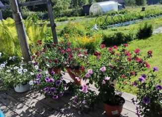 Продажа дачи, 20 м2, Карелия, Центральная улица