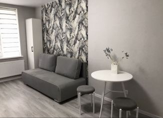 Сдаю квартиру студию, 24 м2, Мурино, улица Шоссе в Лаврики, 93