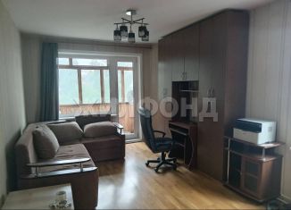 Продажа 1-комнатной квартиры, 30.2 м2, Новосибирск, метро Золотая Нива, улица Тургенева, 227