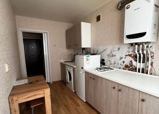 Сдается однокомнатная квартира, 28 м2, посёлок Голубево, Лазурная улица, 21