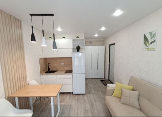 Продаю квартиру студию, 23 м2, Чебоксары, проспект Мира, 6