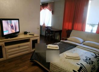 Сдам в аренду квартиру студию, 25 м2, Пермь, улица Мира, 71