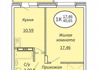 Продается 1-ком. квартира, 40.7 м2, Новосибирск, метро Золотая Нива