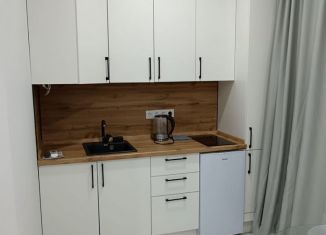 Квартира на продажу студия, 23 м2, Сочи, Горный переулок, 5, микрорайон Центральный