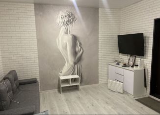 2-ком. квартира в аренду, 32 м2, Мурманская область, улица Кирова