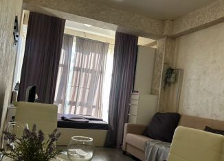 Сдаю в аренду квартиру студию, 31 м2, село Раздольное, Тепличная улица, 16/2