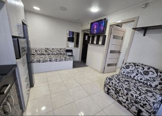Сдача в аренду 1-ком. квартиры, 30 м2, Камчатский край, Красноармейская улица, 11