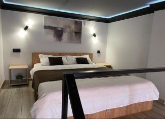 Сдается в аренду 1-комнатная квартира, 30 м2, Тверь, улица Шишкова, 91