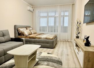 Сдам в аренду 1-комнатную квартиру, 60 м2, Краснодар, Кубанская улица, 45к3, микрорайон Черемушки