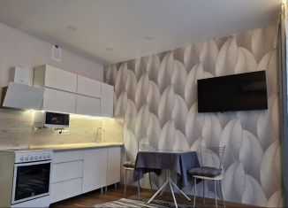 Сдаю квартиру студию, 26 м2, Новосибирск, Ипподромская улица, 12, Октябрьский район