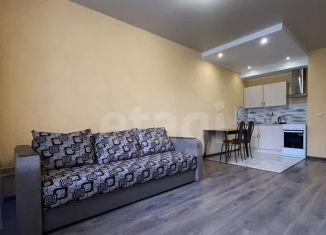 Сдаю квартиру студию, 27.9 м2, Воронеж, улица Туполева, 27А, ЖК Авиатор