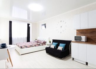 Сдаю в аренду квартиру студию, 27 м2, Краснодар, улица Чайковского, Музыкальный микрорайон