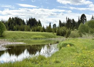 Продается земельный участок, 170 сот., деревня Лудорвай
