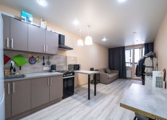 Сдаю в аренду квартиру студию, 24.6 м2, Ломоносов, Михайловская улица, 51