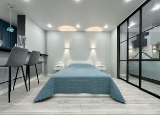 Сдам квартиру студию, 28 м2, Сочи, улица Пирогова, 20, микрорайон Новый Сочи