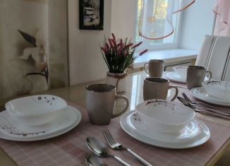 Сдаю в аренду 1-комнатную квартиру, 47 м2, Челябинская область, улица Циолковского, 6