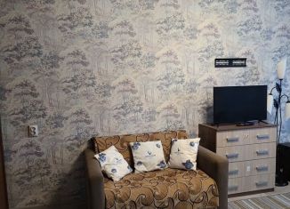 Сдам в аренду двухкомнатную квартиру, 40.9 м2, Ивановская область, Лесная улица