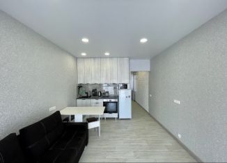 Сдаю квартиру студию, 27.2 м2, деревня Куюки, Молодёжная улица, 29