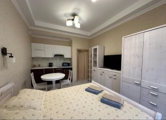 Продается квартира студия, 25 м2, поселок городского типа Массандра, Южнобережное шоссе, 1