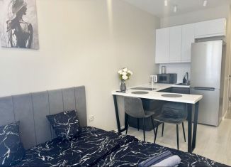 Сдаю квартиру студию, 27.3 м2, Республика Башкортостан, улица Рудольфа Нуреева, 5