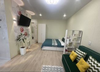 Сдам в аренду квартиру студию, 28 м2, Нижний Новгород, Ильинская улица, 157Б