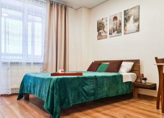 Сдам в аренду квартиру студию, 30 м2, Сыктывкар, улица Лыткина, 31, район Орбита