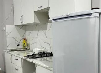 Аренда 2-комнатной квартиры, 50 м2, Краснодар, улица имени Дзержинского, 217, микрорайон Энка (имени Маршала Жукова)