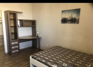 Сдача в аренду квартиры студии, 30 м2, Мурино, Екатерининская улица, 2, ЖК Виктория