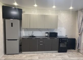 1-ком. квартира в аренду, 41 м2, Кемеровская область, улица Ефимова, 40