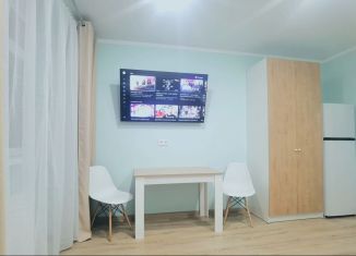 Сдача в аренду квартиры студии, 27 м2, Ессентуки, улица Кленовая Роща, 6