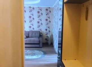 Продам 2-ком. квартиру, 42 м2, Сертолово, микрорайон Чёрная Речка, 13