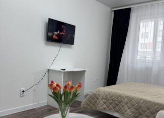 Аренда однокомнатной квартиры, 40 м2, Республика Башкортостан, улица Генерала Кусимова, 18