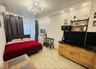 Сдам в аренду квартиру студию, 27 м2, Тамбов, Свободная улица, 4к1, ЖК Грин Тауэр