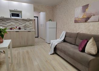 Продам квартиру студию, 22.4 м2, Сертолово, Центральная улица