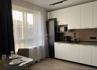 Квартира в аренду студия, 32 м2, Гатчина, Красносельское шоссе, 4А