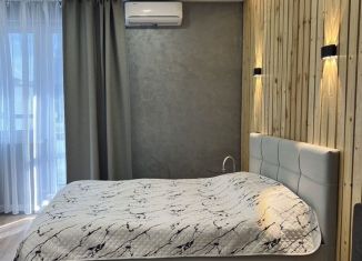 Аренда квартиры студии, 32 м2, Татарстан, улица Ярышлар, 2А