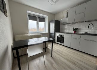 Продажа 2-комнатной квартиры, 50.6 м2, городской посёлок Янино-1, Голландская улица, 10к2, ЖК Новое Янино