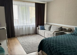 Сдаю в аренду однокомнатную квартиру, 44 м2, Нижний Новгород, микрорайон Щербинки-1, 14к1