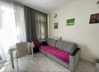 Сдается в аренду квартира студия, 27 м2, Сочи, Православная улица, 69/1, микрорайон Энергетик-Изумруд