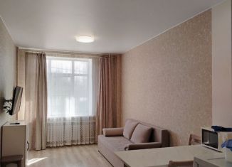 Сдаю в аренду квартиру студию, 28.5 м2, Псков, Прибрежный проезд, 2