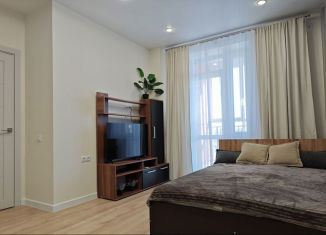 Сдается в аренду 1-комнатная квартира, 40.4 м2, Хабаровск, Краснодарская улица, 40В