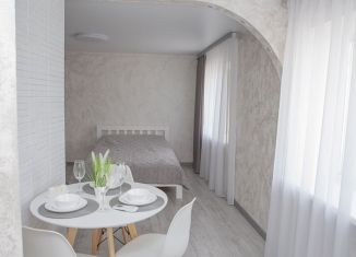 Сдаю квартиру студию, 35 м2, Нижний Новгород, Большая Покровская улица, 58