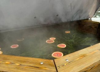 Сдается в аренду дом, 40 м2, Тамбов, СНТ Речник, 89А