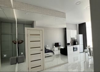 Сдам в аренду квартиру студию, 35 м2, Республика Башкортостан, улица Аксакова, 81/1