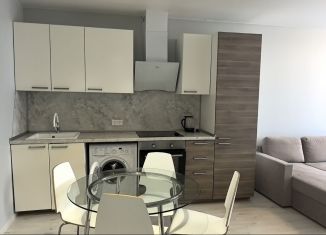 Сдаю однокомнатную квартиру, 45 м2, Сочи, Виноградная улица, 22/1Б, микрорайон Новый Сочи