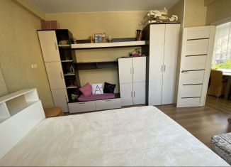 Сдается 1-ком. квартира, 33 м2, Сочи, Крымская улица, 71/5, микрорайон Мамайка