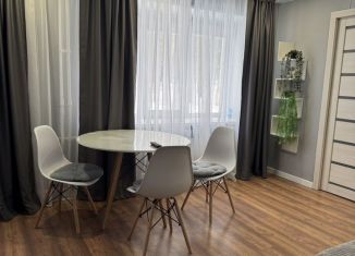 Сдам квартиру студию, 40 м2, Мурманская область, улица Гагарина, 20